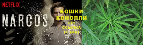 ГАЛЛЮЦИНОГЕННЫЕ ГРИБЫ Карпинск