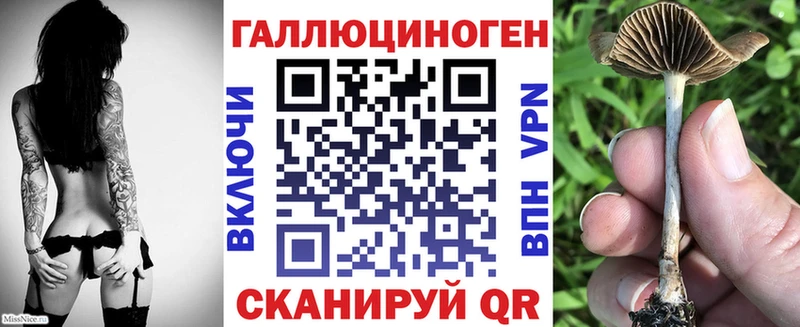 Галлюциногенные грибы GOLDEN TEACHER Карачев