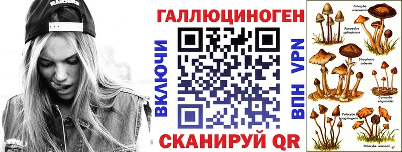 Галлюциногенные грибы GOLDEN TEACHER  Купить где  Карачев 